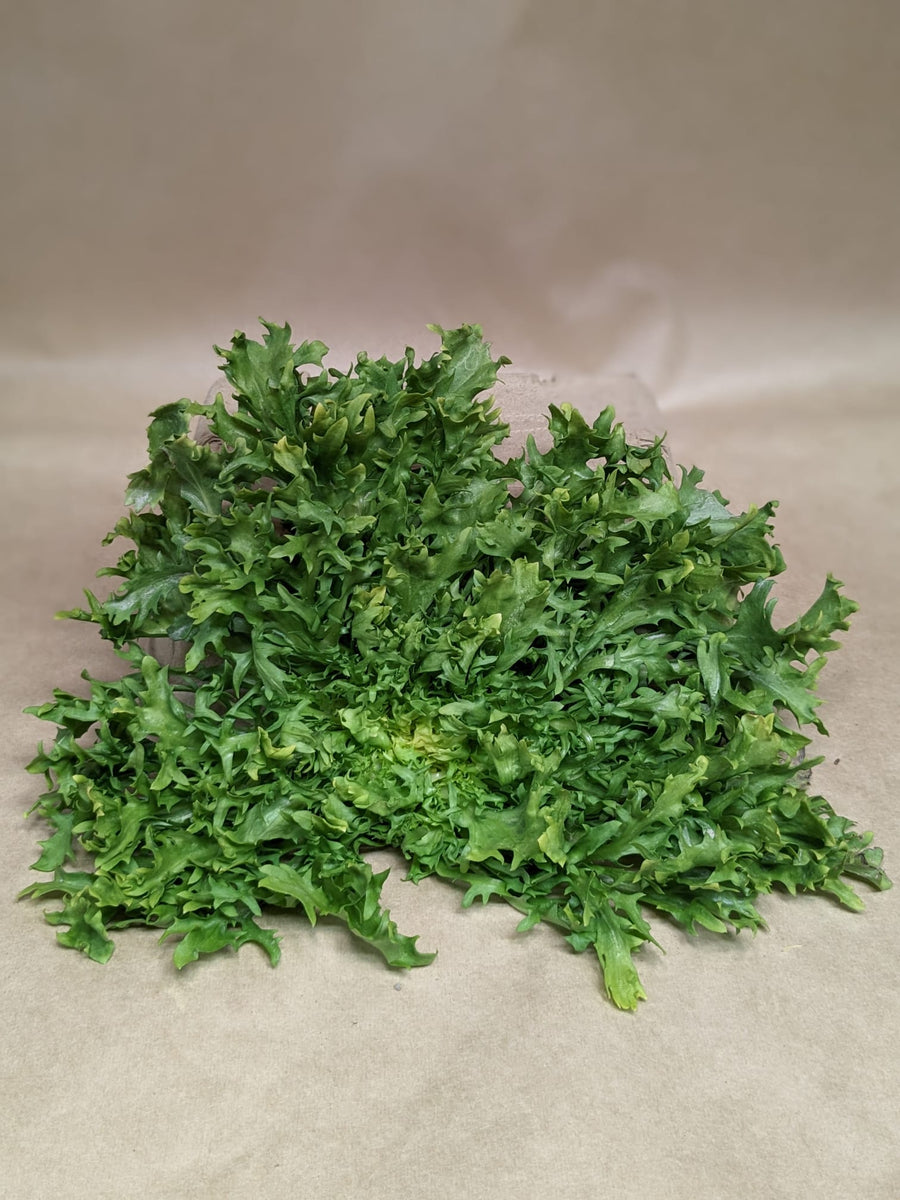 Frisée - Curly Endive