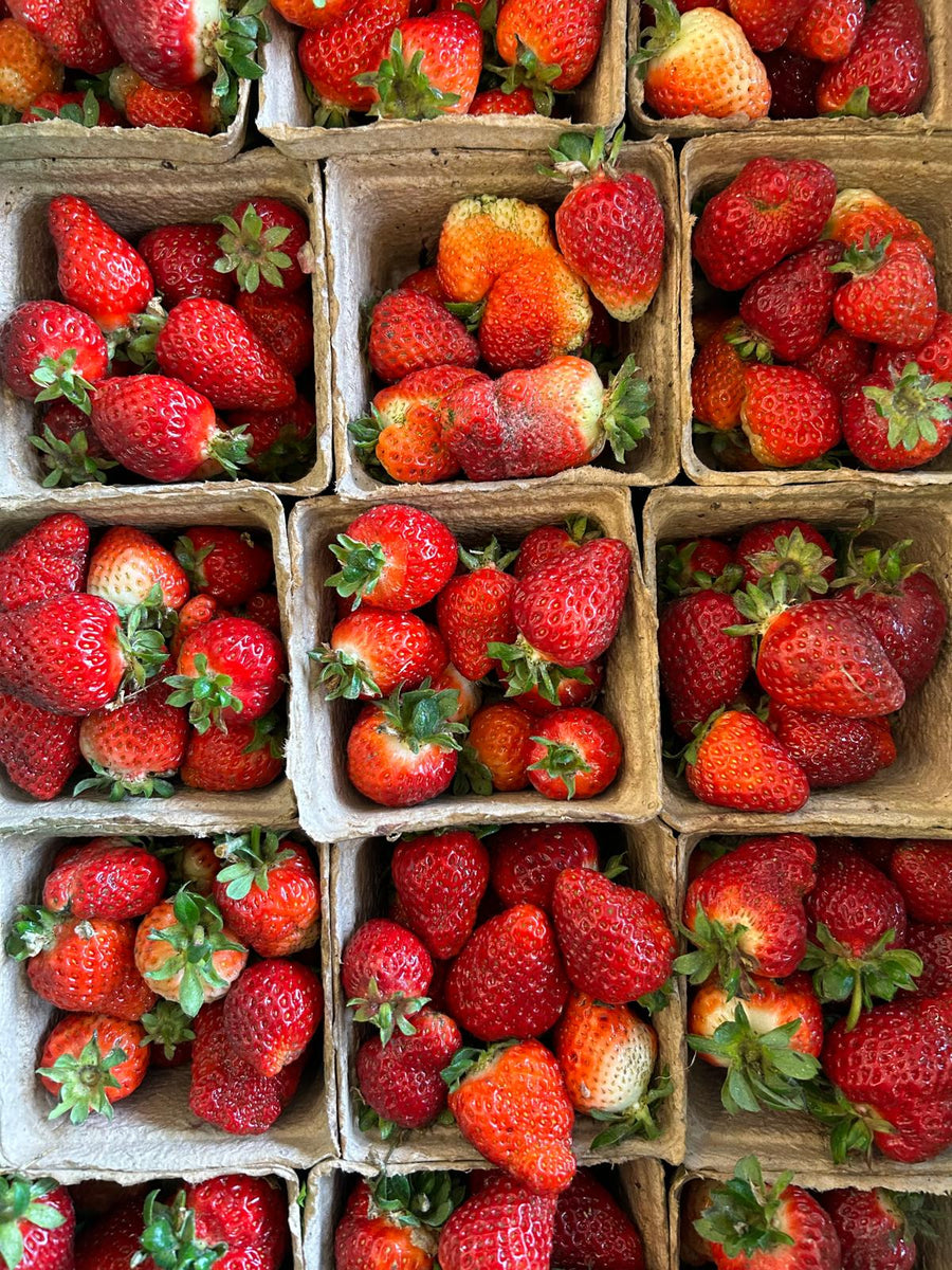 Strawberries