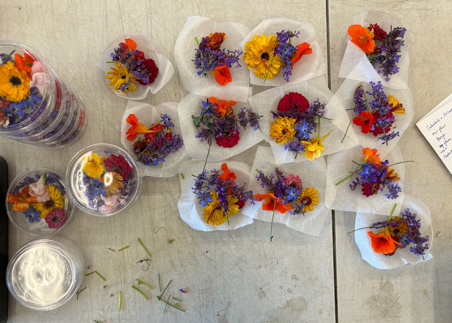 Edible Flower Mix