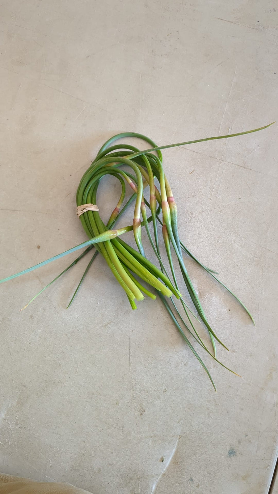 Garlic Scapes